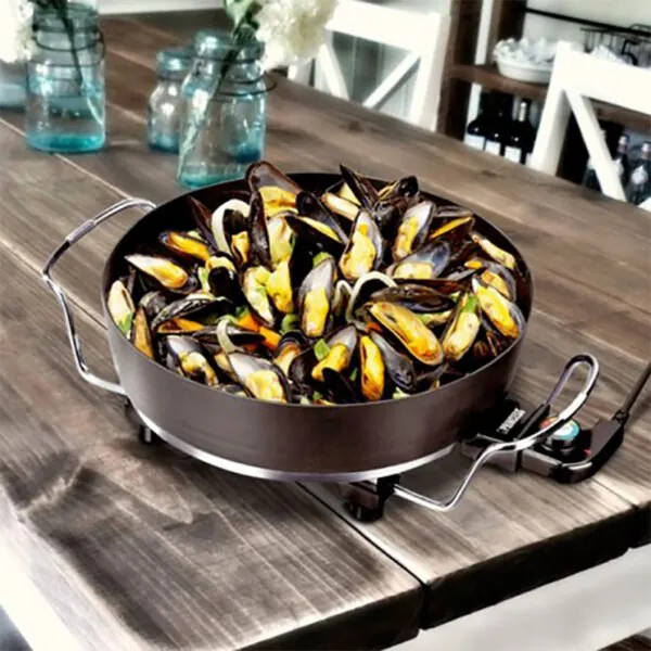 princess 162367 electric pan